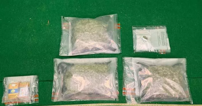 Hong Kong Customs Seizes 2kg of Cannabis and Arrests Passenger at Airport