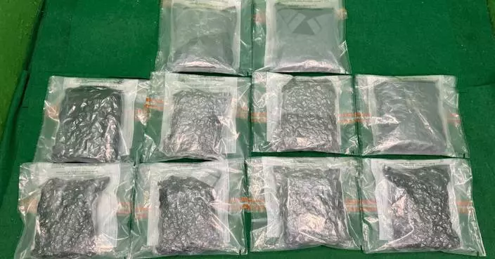 Hong Kong Customs Seizes 6kg of Cannabis Buds at Airport, Arrests Mainland Passenger