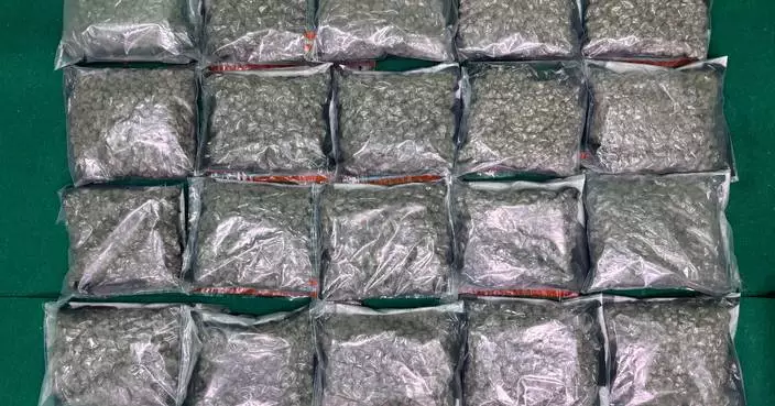 Hong Kong Customs Seizes Over $15 Million in Drugs, Arrests Five Passengers at Airport