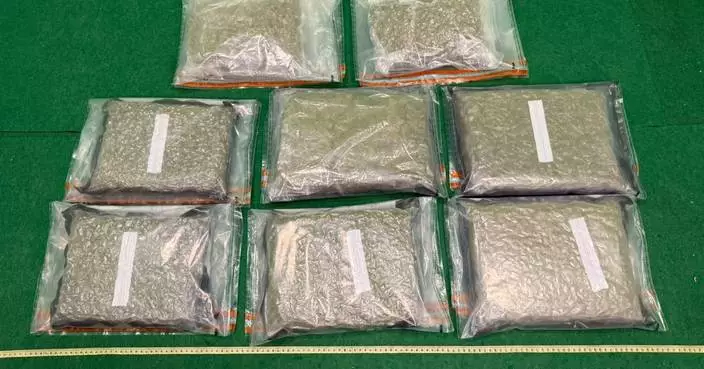 Hong Kong Customs Seizes 9kg of Cannabis in Two Drug Trafficking Cases at Airport