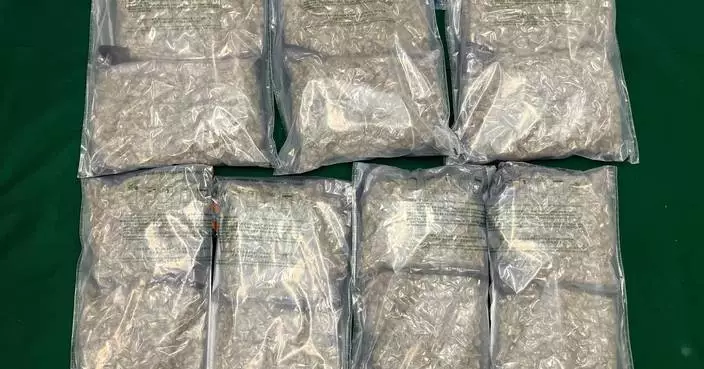 Hong Kong Customs Seizes 5.8kg of Cannabis and Arrests Passenger at Airport