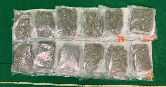 Hong Kong Customs Seizes 6kg of Cannabis, Arrests Two Traffickers at Airport