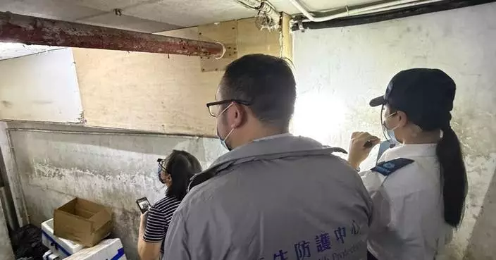 CHP Investigates Human Hepatitis E Case Linked to Rats, Urges Hygiene Measures