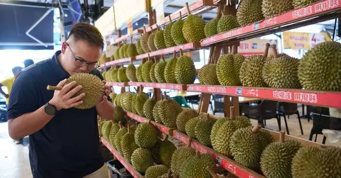 Malaysians' efforts to elevate durian industry, in photos
