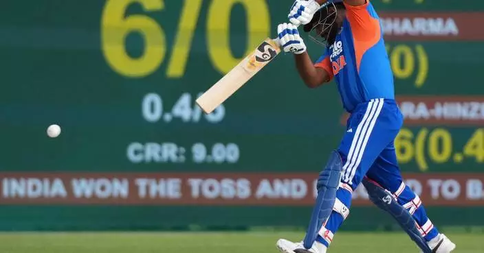 A celebration of friendship between Japan and India with cricket as the backdrop