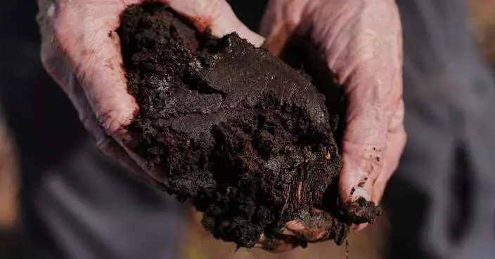 Takeaways from AP story on a major effort to restore peatland in North Carolina