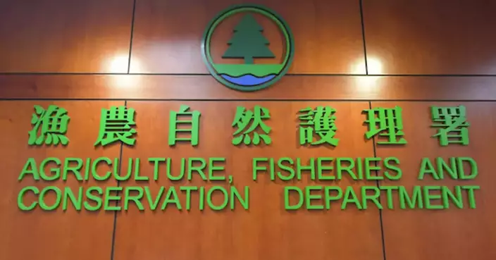 AFCD Completes Dog Capture Operation Following Fatal Attack Incident in Yuen Long