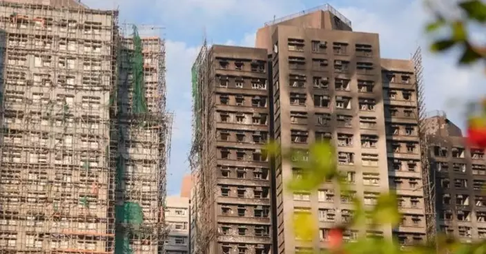 Flat Selection for Wang Fuk Court Owners Begins Today, Offering Over 4,400 Units Across Ten Development Projects