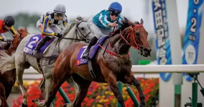 Hong Kong Champion Romantic Warrior Retired Due to Leg Injury