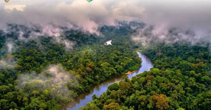Oro Ecológico, EcoGuard Global, and Envex Technologies Form Strategic Alliance to Build Integrated Natural Capital Ecosystem for Carbon Markets Across Latin America
