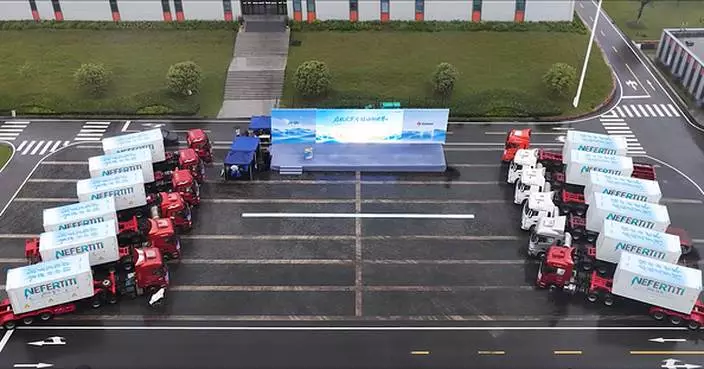 Gotion Delivers Africa's Largest AC-Coupled Storage Project in Just 3 Months