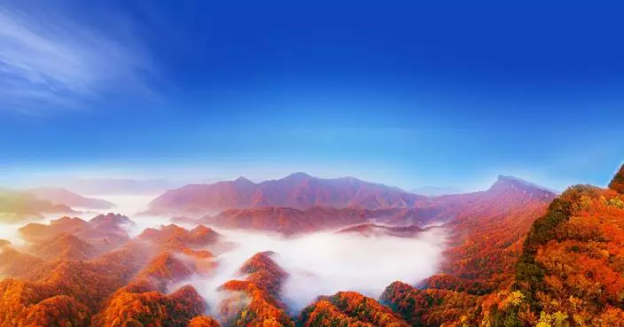 24th Sichuan Guangwu Mountain International Red Leaf Festival to Showcase Asia’s Spectacular Autumn Colors