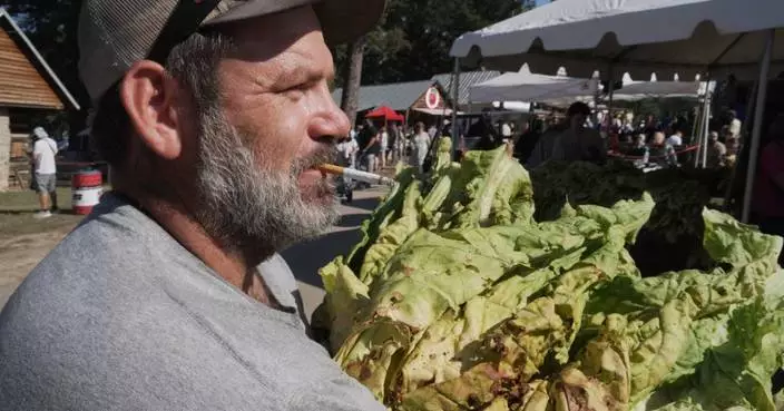Whether `stringing' or `looping,' tobacco is the tie that binds many North Carolina farm families
