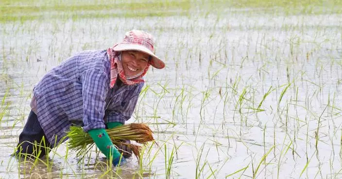 Syngenta and Kyoyu Agri Partner on Innovative Rice Herbicide