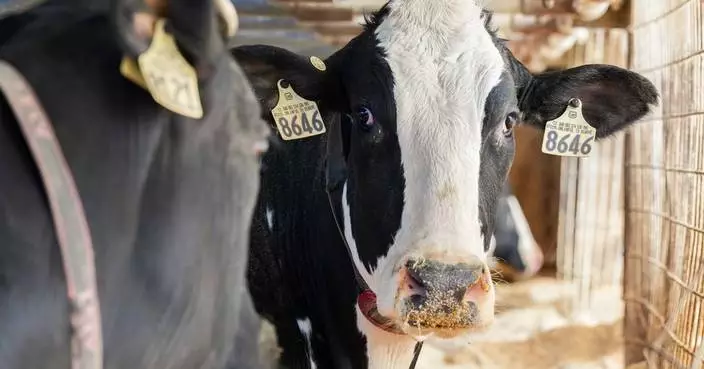Sartori Cheese Boosts Wisconsin Dairy Exports to South Korea with Coupang
