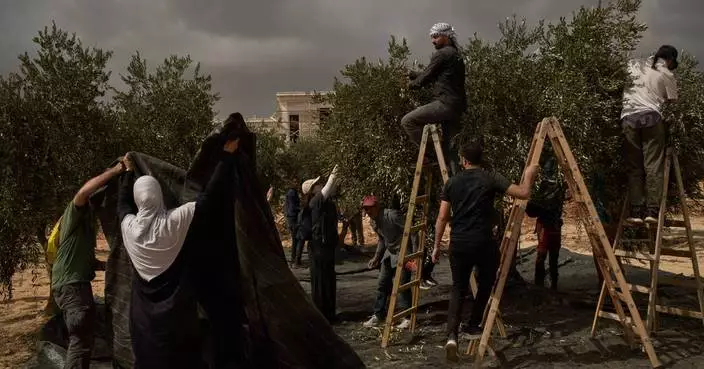Israeli settlers torch cars and trees in West Bank villages, disrupting Palestinians' olive harvest