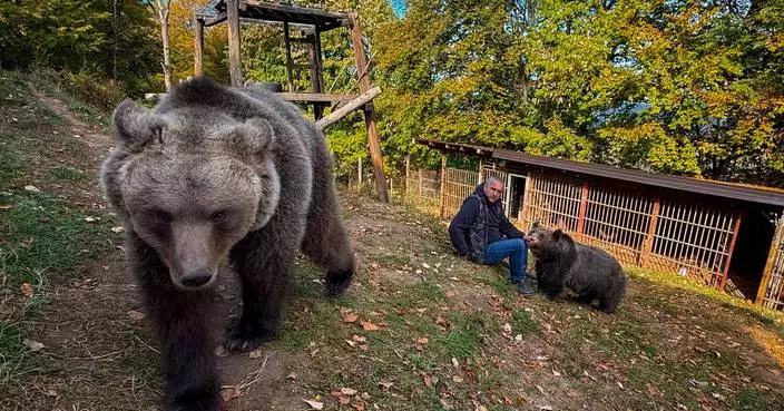 A Bosnian man rescued an abandoned bear cub. Now they're inseparable
