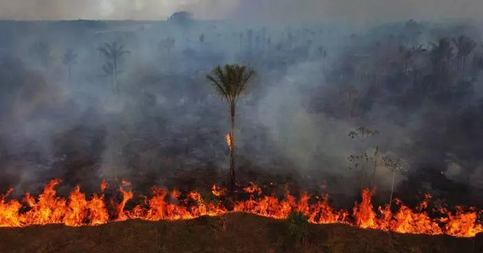 Indigenous, environmental groups warn far-right gains in Brazil’s Congress threaten protections