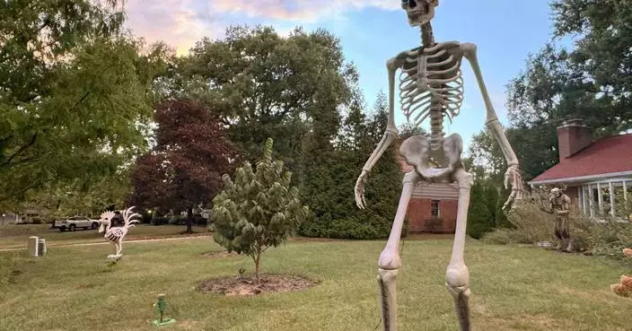 Make no bones about it, the giant skeleton has become an American Halloween fixture