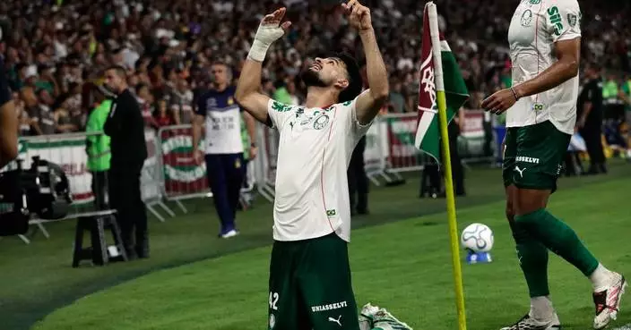 Palmeiras beat Fluminense 2-1 away in Copa Libertadores semifinal