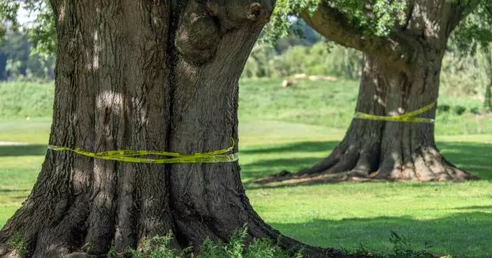 Judge hears testimony in legal fight over Trump's golf course renovation plans at East Potomac Park