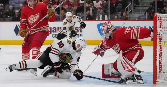 Arvidsson nets sixth career hat trick as Red Wings down Blackhawks, 4-1