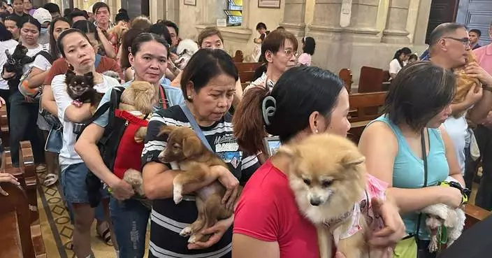 Wagging tails fill Malate Church as priests bless pets for St. Francis feast