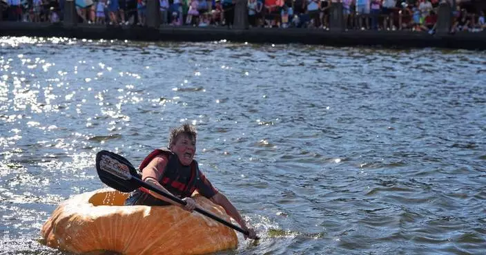 Photos show giant pumpkins vying for heavyweight glory as pumpkin season gets underway