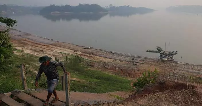 Environmentalists celebrate Lula's reelection in Brazil: 'The Amazon can breathe a sigh of relief'