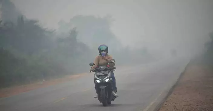 Wildfires threaten Indonesia's orangutans as rescuers find injured animals