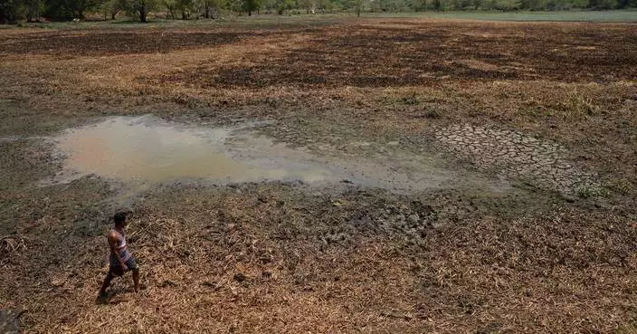 In drought-stricken Sri Lanka, farmers watch wells empty and wildlife crowd shrinking water holes