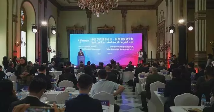 China-Arab dialogue on China studies held in Cairo