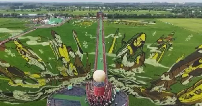 Chinese rice farms stuns holiday travelers with field-wide artworks