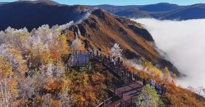 Greater Khingan Range's autumn splendor draws crowds during National Day holiday