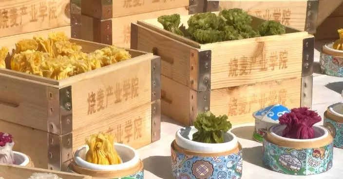 Shaomai Festival whets appetites, boosts holiday spending in Inner Mongolia