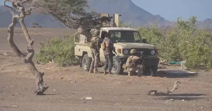 Yemeni gov't forces claim recapture of Bab al-Mandab Strait, Mocha, push toward Houthi-held capital