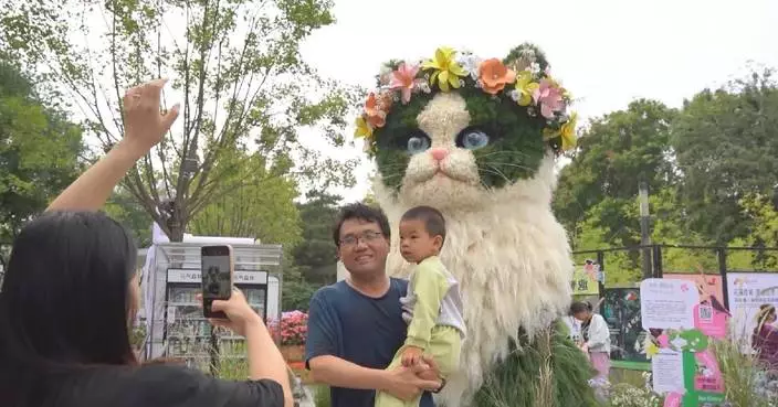 Cat-shaped floral installations bring fresh visitor experience in Beijing parks