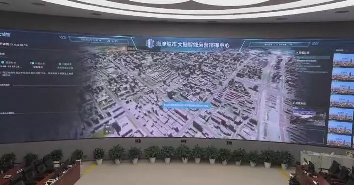 Beijing's service hotline empowers AI startups