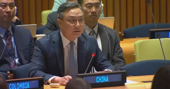 Sovereign equality cornerstone of int'l relations: Chinese envoy