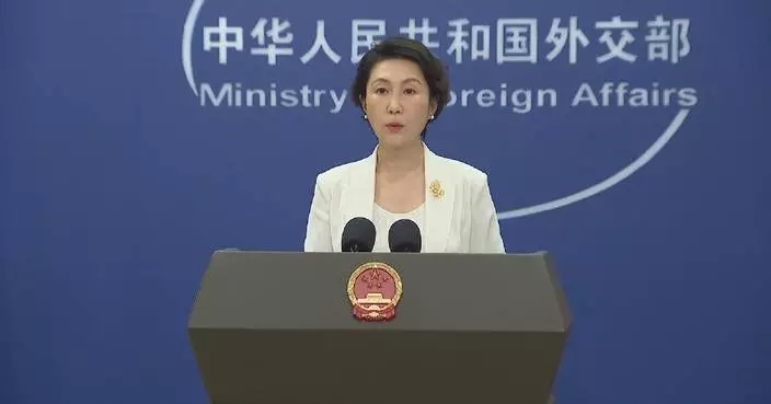 Japan's AI distortion of history violates human conscience: spokeswoman