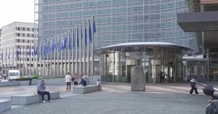 EU's proposed trade measures against China lacks sound basis: former Italian official