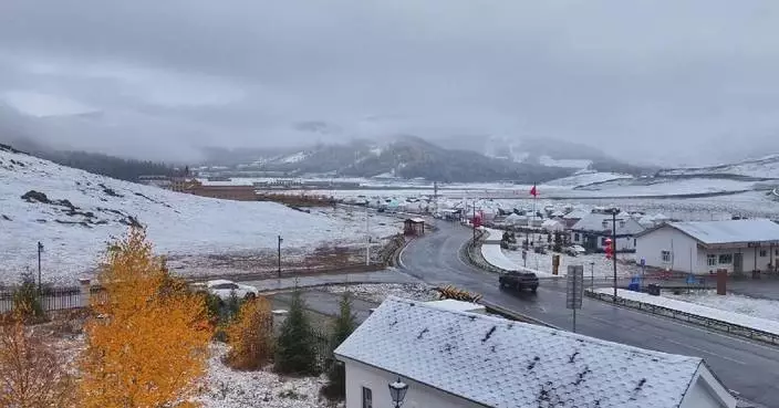 Xinjiang welcomes autumn snowfall, featuring golden, silver landscapes