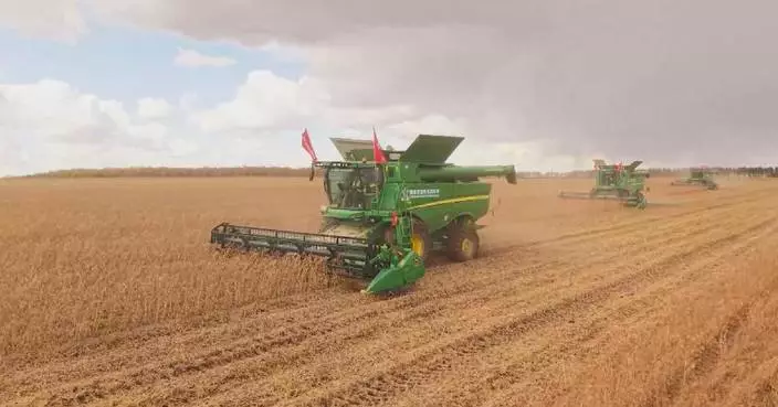 China's autumn harvest passes halfway mark as autumn, winter sowing kicks off
