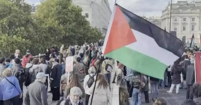 Protests in London call for end to arms supplies to Israel