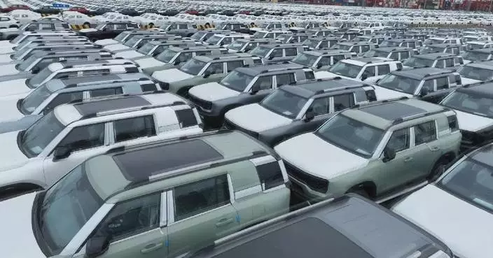 Auto exports via east China's Taicang Port surpass 1 mln units for first time