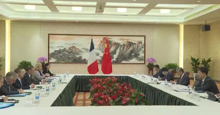 China, France hold 28th strategic dialogue