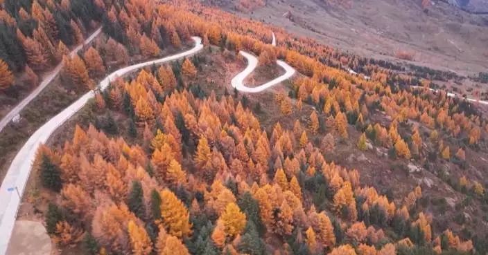Autumn paints Shanxi's Luya Mountain in spectrum of colors