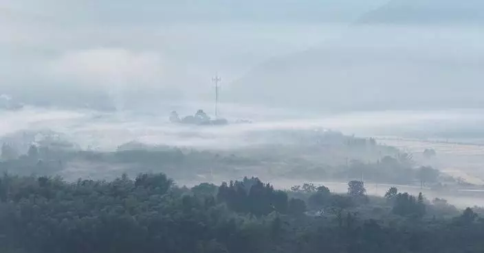 Dreamy mist creates picturesque autumn scene in Anhui
