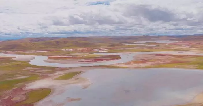 China's first batch of national parks see improved ecosystem, biodiversity