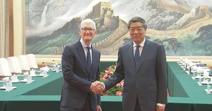 Chinese vice premier meets with Apple executive chairman
